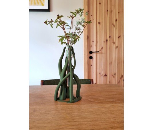 Vas "Entangle tube"