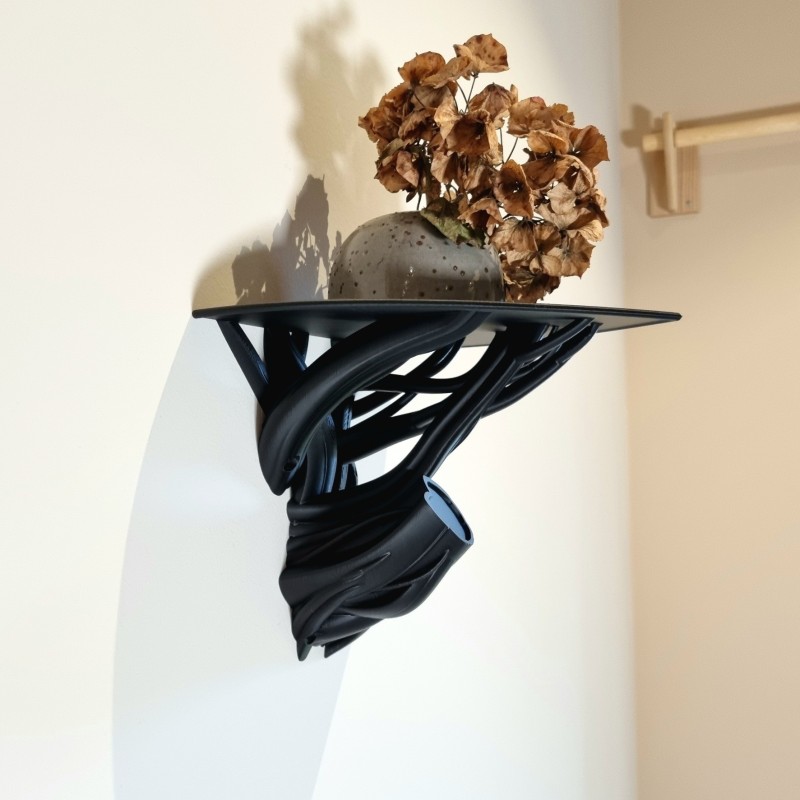 "Branch Shelf" Shelf