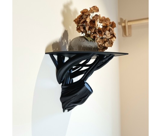 "Branch Shelf" Shelf