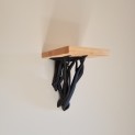 "Entangle Shelf" Shelf "Entangle Shelf" Shelf