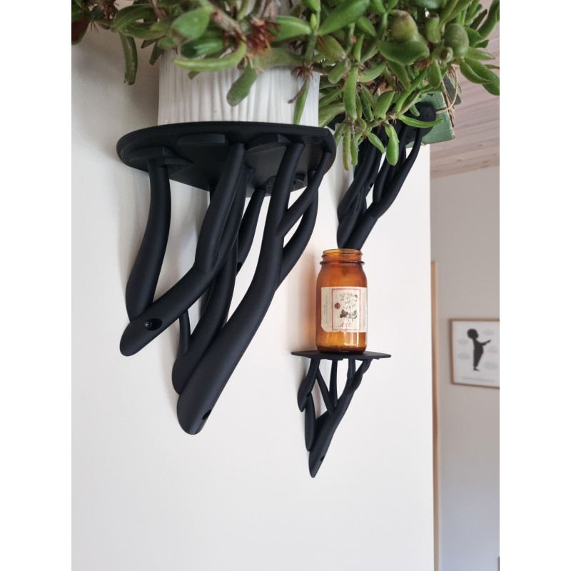 Entangle leaf Shelf