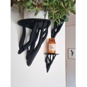 Entangle leaf Shelf