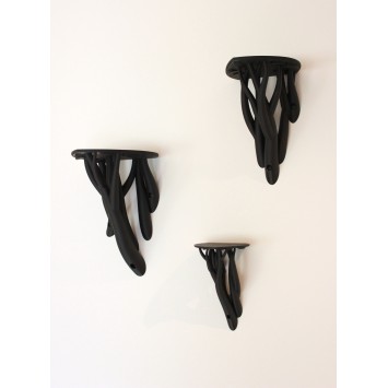 Entangle leaf Shelf