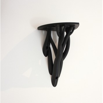 Entangle leaf Shelf