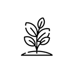 Eco-Friendly Plastic